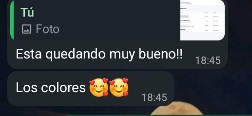 Mensaje de WhatsApp de Majo Simón sobre el sistema